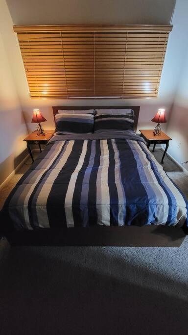 Entire One Bedroom Apartment Annandale Exterior foto