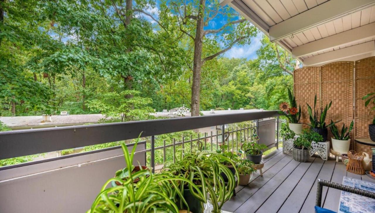 Entire One Bedroom Apartment Annandale Exterior foto
